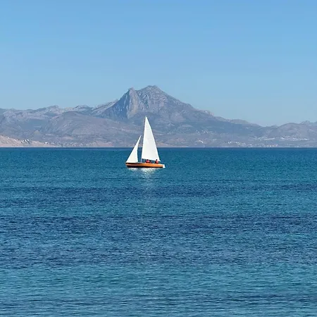 Velazquez San Juan Playa * 알리칸테